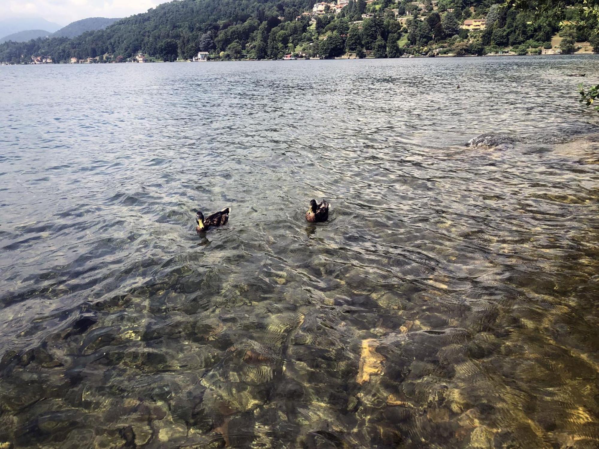 Casa de Férias Vacanze Al Orta San Giulio